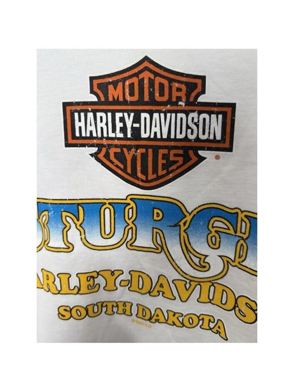 HD Sturgis 2020 Long Sleeve Mens T Shirt Black Hills Rally 80th Anniversary Sz S - Picture 6 of 7